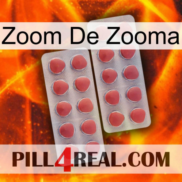 Zooma Zoom 19.jpg